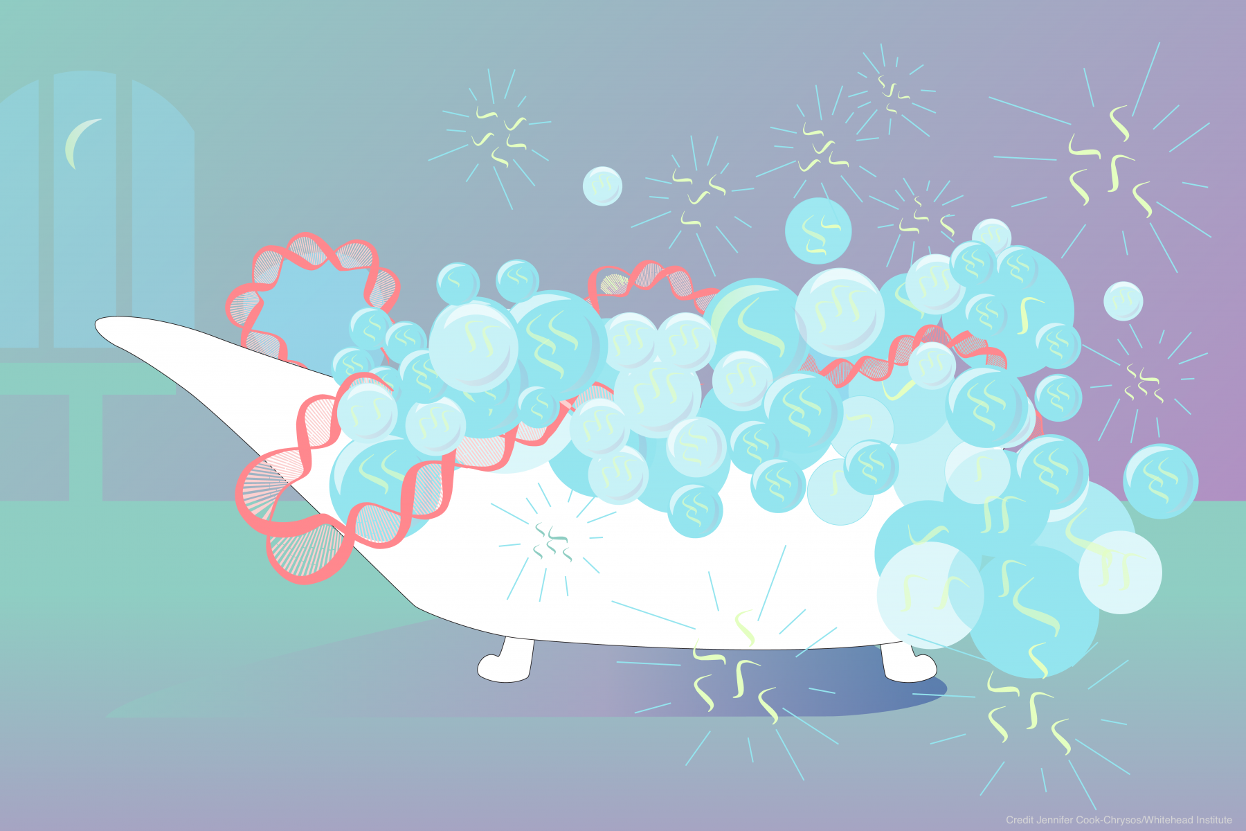 2021_henninger/RNA.png